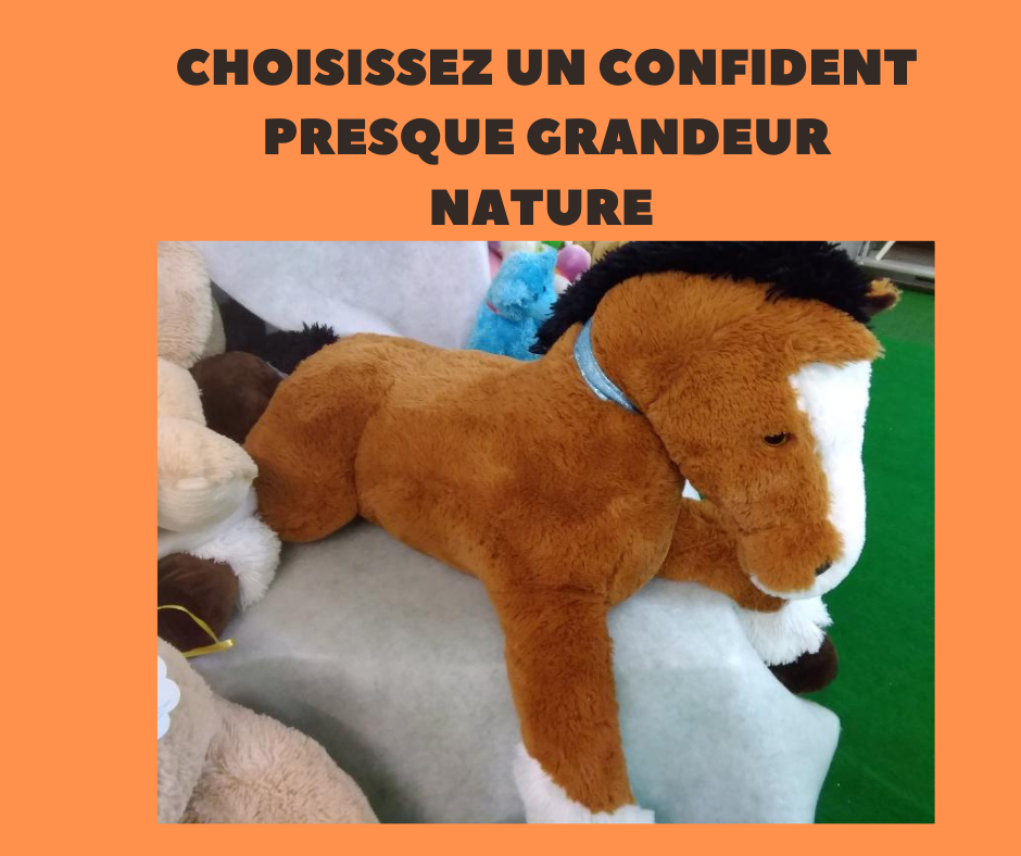 CHEVAL PELUCHE.png