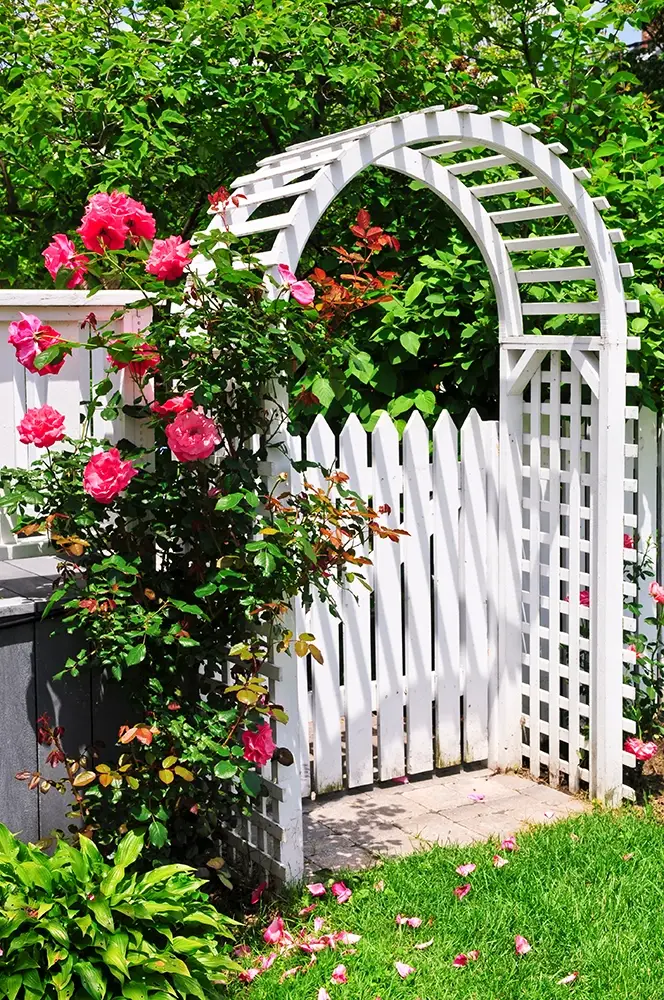 arche-jardin
