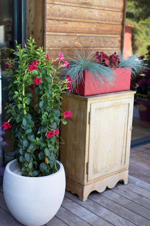 Balconiere-EDA-Graphit-Up-Rouge-rubis 1